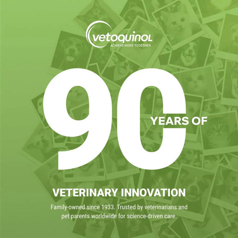 Vetoquinol 90 years of veterinary innovation, green background with pet photos, family-owned since 1933 text