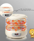 Pro Level Electric Food Dehydrator Featuring Hella Slick Digital Controls And Five Spacious Trays for even drying of fruits and veggies.