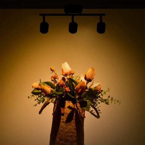 Arcfox 24W Three Light LED Track Lighting Kit illuminating a floral arrangement with dimmable rotatable heads on ceiling mount.