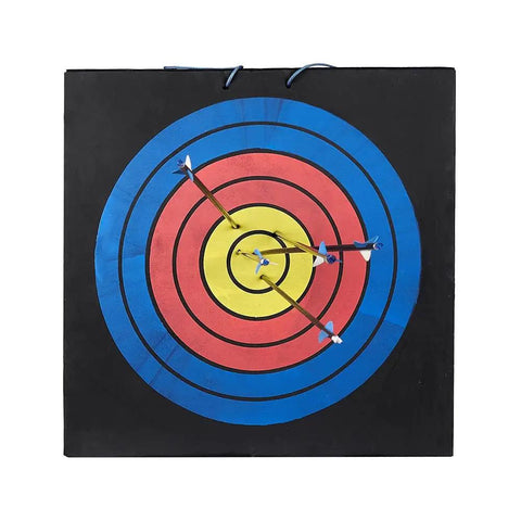 Portable Backyard Archery Target 50x50x5 CM High Density EVA Foam Layered Target with arrows in center, rope handle visible