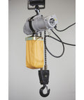 Electric Hoist For One Ton Load, Nine Point Eight Feet Lift, 110V Power, Remote Control With Emergency Stop, side view