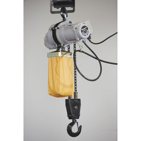 Electric Hoist For One Ton Load, Nine Point Eight Feet Lift, 110V Power, Remote Control With Emergency Stop, side view