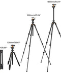 Lightweight 64 Inch Camera Tripod With 360 Degree Ball Head And Smartphone Clip For Live Streaming And Vlog Travel Outdoor DSLR Stand 8 Kg Load Capacity Folds To 39.5 Cm And Extends From 52 Cm To 163 Cm shown in different height configurations