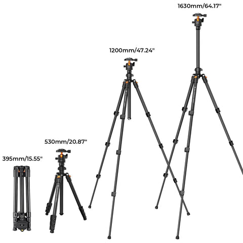 Lightweight 64 Inch Camera Tripod With 360 Degree Ball Head And Smartphone Clip For Live Streaming And Vlog Travel Outdoor DSLR Stand 8 Kg Load Capacity Folds To 39.5 Cm And Extends From 52 Cm To 163 Cm shown in different height configurations