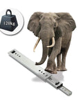 Heavy Duty 22 Inch Full Extension Drawer Slides with Ball Bearing Runners and elephant illustrating strength