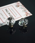Two Clear Acrylic Pumpkin Cabinet Knobs from Set Of 20 Vintage Decorative Pulls for Doors, Drawers, and Furniture on Black Surface