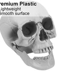 Close-up of a plastic skull from Life Size Skeleton Bones 35 Piece Halloween Decor Set, highlighting smooth, lightweight material.