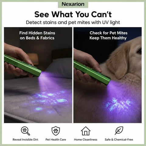 1300 Lumen Rechargeable EDC Flashlight with UV Light Green Beam Side Flood Light illuminating stains on bed and pet fur