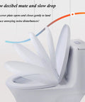 Silent Soft Close No Sweat Quick Release Oval Toilet Seat With Adjustable Zinc Hinge showing slow drop mechanism in use.