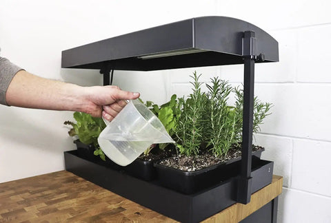 All In One Indoor Garden Kit With Dual T5HO Grow Lights And NanoTech Reflectors Auto Watering Mat in use with hand watering plants