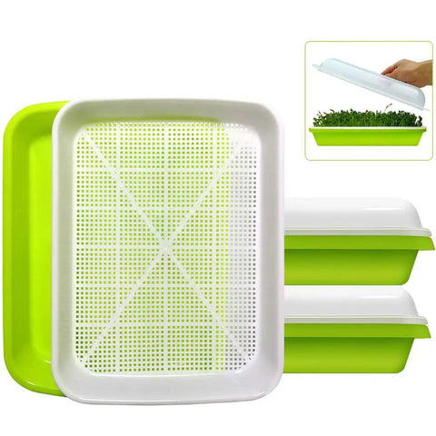 2 Pack Seed Sprouter Tray With Humidity Lid BPA Free Food Grade Soil Free Sprouting Kit For Wheatgrass Microgreens Beans Peas