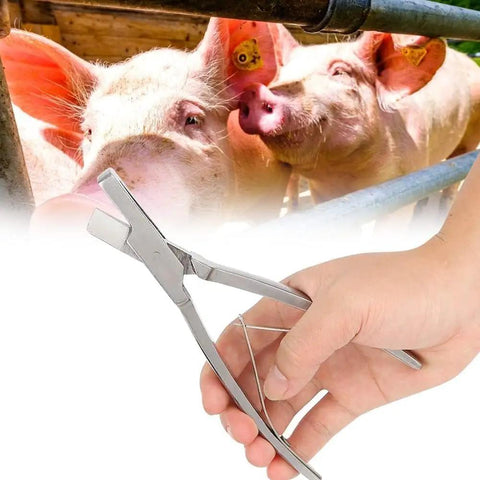 Hand holds stainless steel pig ear tag pliers in V shape, lightweight and durable, with pigs in the background for ID use.