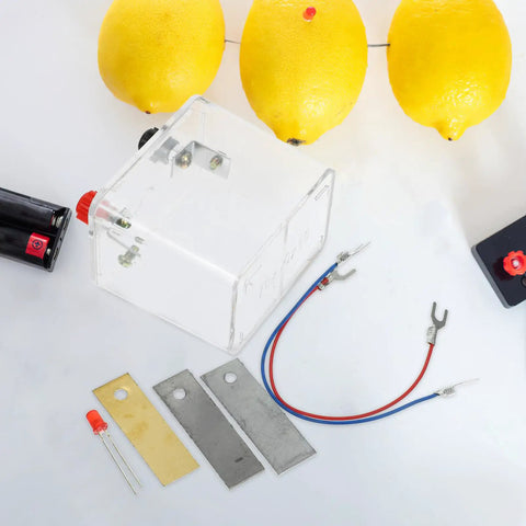 Components of the Fruit Battery Experiment Kit With DIY Science Plates For Education, showing plates, wires, and lemon setup