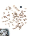 100 Piece Watch Battery Clamp Screws Set with various tiny silver screws and image of a watch repair in progress