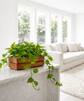 Premium Acacia Wood Planter Box With Crate Style Design Built To Last, plants in rustic rectangle container on marble surface