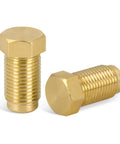 Brass hex-head brake line plugs, 10mm x 1.0, 1/8 NPT male threads, pack of 2.