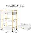 Salon Trolley Cart With Wheels For Estheticians, Mobile Beauty Cart With 1 Drawer And 2 Trays, White Gold Finish, dimensions shown
