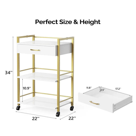 Salon Trolley Cart With Wheels For Estheticians, Mobile Beauty Cart With 1 Drawer And 2 Trays, White Gold Finish, dimensions shown