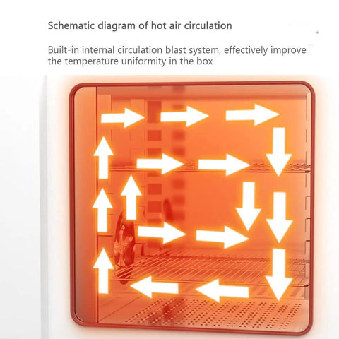 Schematic diagram of hot air circulation in Heavy Duty 16L Digital Lab Drying Oven With Intelligent PID Temp Controller.