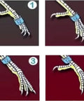 Dope Multicolor Aluminum Bird Leg Rings Pack For Training And Identification showing ring placement on bird legs.