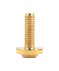 Beefy Titanium M5x15mm Torx Head Bolt Set Gold For Bicycle And Motorcycle Built Tough With Grade 5 6AL 4V Titanium Alloy
