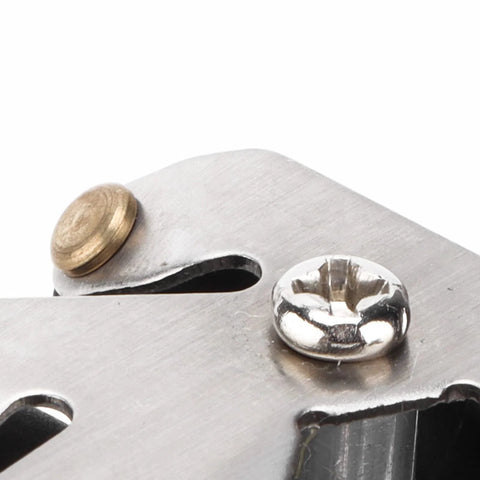 Mecanum wheel hub close-up: silver steel plate with brass rivet and chrome screw head