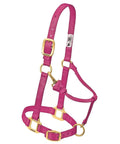 Adjustable Nylon Horse Halter For Weanlings And Ponies Diva Pink with brass hardware and triple ply cheek design