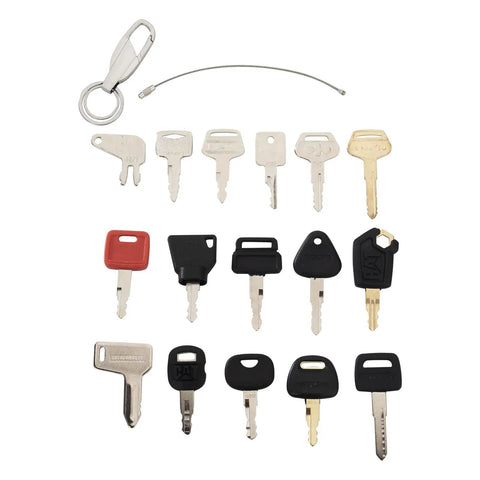 16 Keys Heavy Equipment Ignition Key Set With Blanks And Keychain, variety of keys and keychain visible