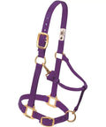 Adjustable Nylon Horse Halter For Weanlings And Ponies Diva Pink Three Quarter Inch Wide With Triple Ply Cheek Design