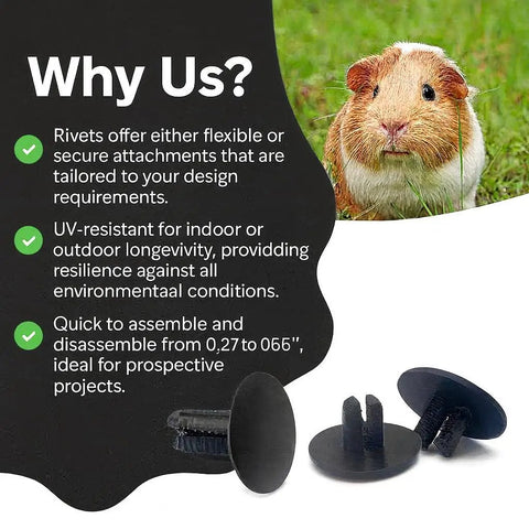 Knockout Quality Ratchet Rivets For Coroplast C And C Cage Panels showcasing black ABS connectors and a guinea pig backdrop.