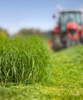 Green field with grass in foreground and blurry tractor in background