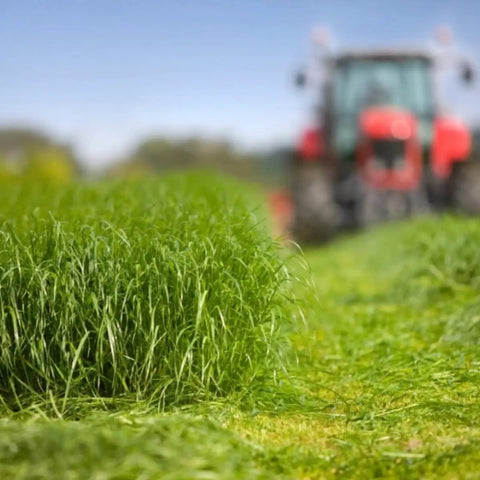 Blurred red tractor in field with focus on green grass, illustrating agricultural use for hydraulic steering cylinder seal kit.