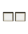 Twin Pack HEPA Replacement Filters for Super Coach Pro 10 Pro 6 GoFree Flex Pro and ProVac FS 6 Vacuum Cleaners, white