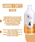 Amino Forte Pigeon Supplement For Real Health Boost With Amino Acids Carbs Electrolytes And B Vitamins 1000 Ml packaging