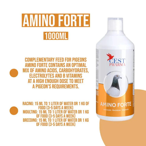 Amino Forte Pigeon Supplement For Real Health Boost With Amino Acids Carbs Electrolytes And B Vitamins 1000 Ml packaging