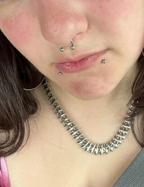 16G Lip Labret Monroe Medusa Ashley Nose Ring Set In 316L Surgical Steel Silver For Women Men, Snake Bite Tragus Helix Cartilage Piercing Jewelry, Barbell Style, 6mm 8mm 10mm 12mm Lengths on nose and lip