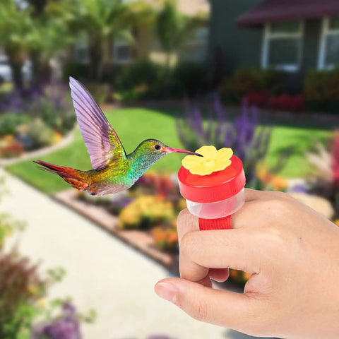 Hand holding Grab And Go Four Piece Hummingbird Ring Feeder Kit with Handheld Bird Feeders and Cleaning Brushes for outdoor use