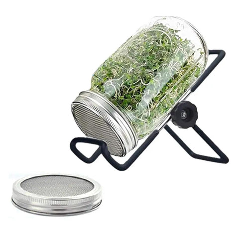 Straight Up Premium Stainless Steel Sprouting Lids And Stands For Wide Mouth Mason Jars To Grow Heckin Fresh Microgreens And Sprouts At Home With Rust Proof Mesh Discs And Solid Foldable Trays That Are Gonna Be Your New Kitchen Fav. Jar with sprouts on metal stand and stainless steel mesh lid.