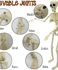 Six 16 Inch Full Body Poseable Skeletons With Movable Joints For Halloween Indoor Outdoor Spooky Decor joint details