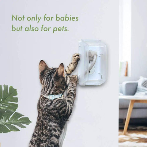 Cat near transparent clear outlet cover box for baby safety with large plug covers for easy babyproofing sockets in home, 1 pack.