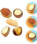Miniature Resin Nut Ornaments Set For Dollhouse Food Decor, realistic tiny nut models for crafts and DIY projects, assorted styles