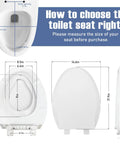Dimensions of Elongated Toilet Seat With Built In Toddler Seat And Soft Close For Easy Potty Training Family Friendly White Toilet Seat