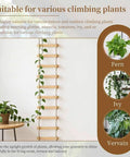 6-Feet Extra Tall Wooden Ladder Plant Trellis For Indoor And Outdoor Use with vines growing, suitable for various plants.