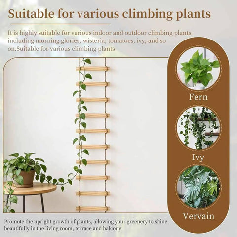 6-Feet Extra Tall Wooden Ladder Plant Trellis For Indoor And Outdoor Use with vines growing, suitable for various plants.