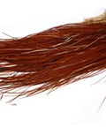 Brown Midge Size Rooster Saddle Hackle Feathers, 10 Pcs Pro Grade Hand Selected Whiting Bronze Tying Feathers For Trout Dry Flies, perfect specimen showing detail and color.