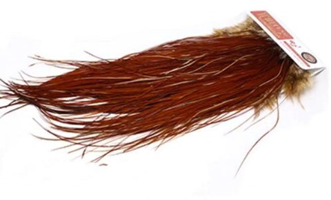 Brown Midge Size Rooster Saddle Hackle Feathers, 10 Pcs Pro Grade Hand Selected Whiting Bronze Tying Feathers For Trout Dry Flies, perfect specimen showing detail and color.