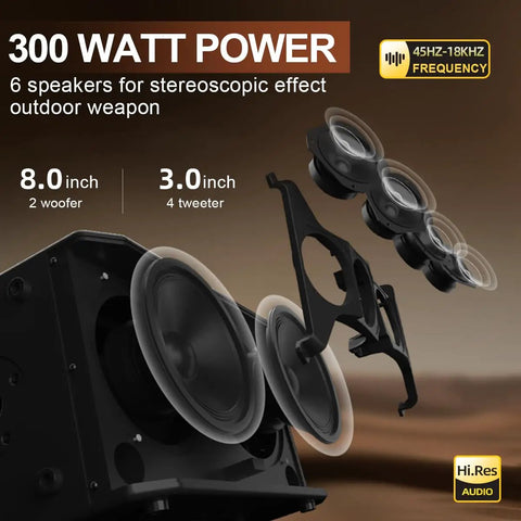 300W Acoustic Guitar Amp For Busking And Live Shows 8 inch woofer and 3 inch tweeter speakers detail