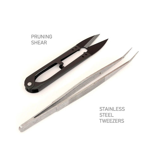 All In One Bonsai Tool Kit With Bonsai 101 Book And Fabric Storage Holder Includes Wooden Rake Long And Wide Spades Scissors Tweezers Bamboo Brush Pruning Shears For Easy Bonsai Care And Styling showing pruning shear and stainless steel tweezers