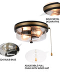 Industrial Farmhouse Close-To-Ceiling Light Fixture With Pull Chain Matte Black 2-Light Flush Mount Seeded Glass Shade