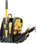 Pro Painter Backpack Organizer For Jobsite Tools With Removable Wet Pouch And All In One Storage System showcases brushes and tools